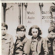 vivid auto all
